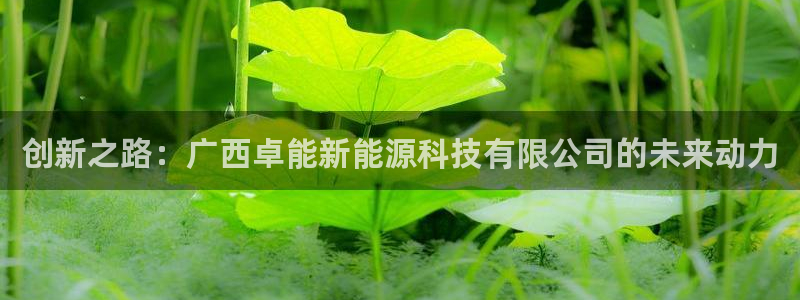 新宝GG寥78778：创新之路：广西卓能