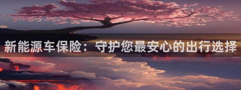 新宝gg 网址：新能源车保险：守护您最安