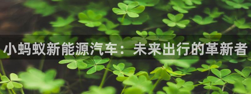 新宝gg 主管：小蚂蚁新能源汽车：未来出
