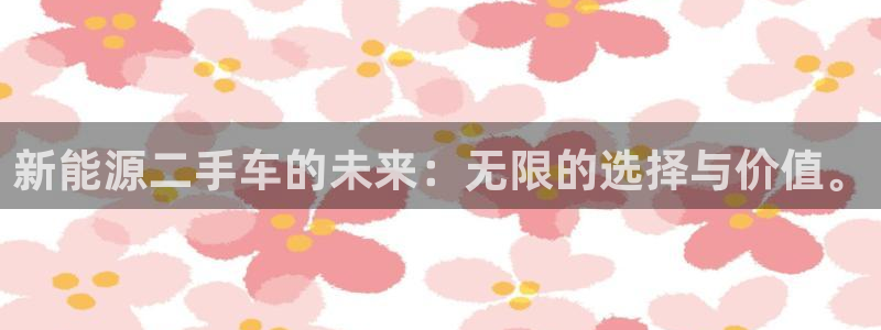 新宝创造Gg：新能源二手车的未来：无限的