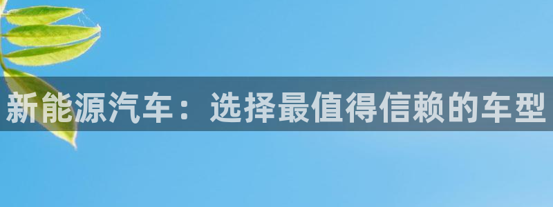 新宝gg娱乐注册全芏网：新能源汽车：选择