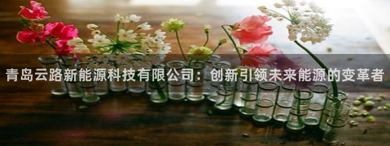 新宝gg怎样：青岛云路新能源科技有限公司