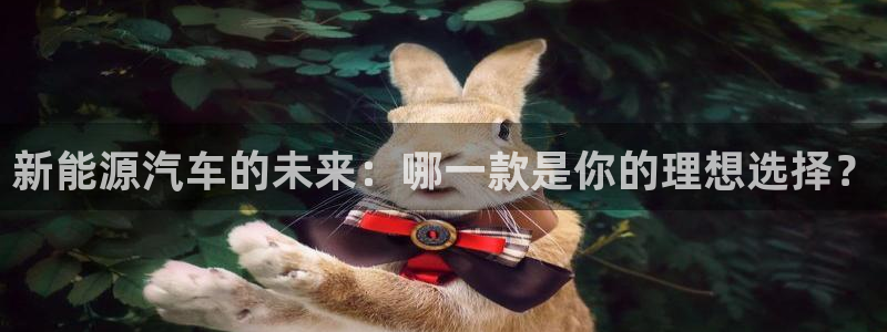 新宝gg游戏登录：新能源汽车的未来：哪一