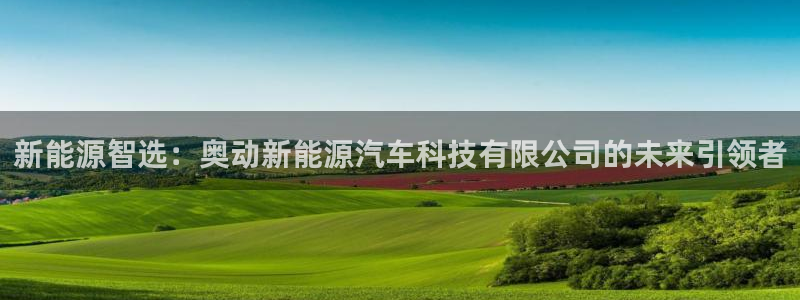 新宝gg 创：新能源智选：奥动新能源汽车