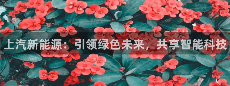 正版新宝gg：上汽新能源：引领绿色未来，