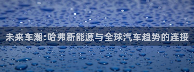 新宝GG询问29999：未来车潮:哈弗新