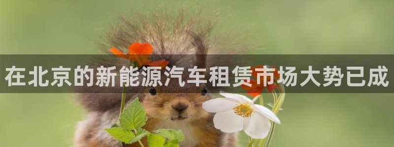 新宝gg官方注册找上级：在北京的新能源汽