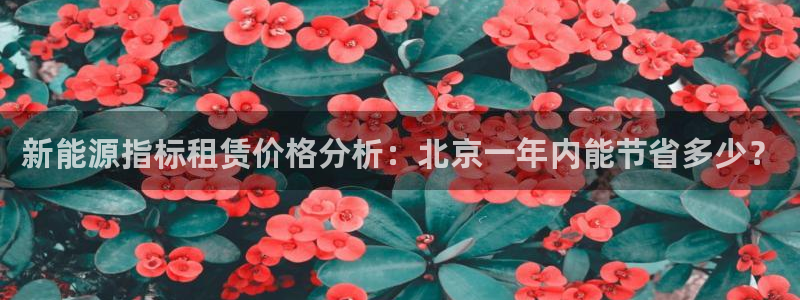 新宝gg合作：新能源指标租赁价格分析：北