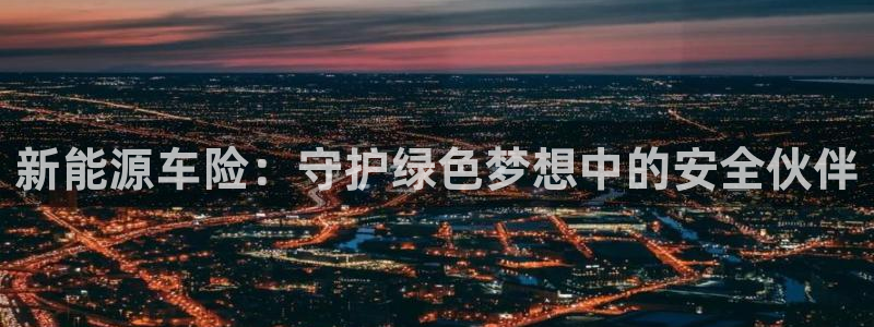 新宝gg搜740005：新能源车险：守护