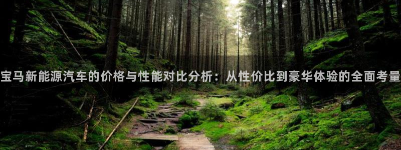 新宝 gg 登录：宝马新能源汽车的价格与