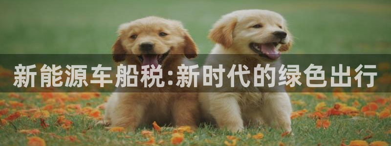 新宝gg刷流水：新能源车船税:新时代的绿