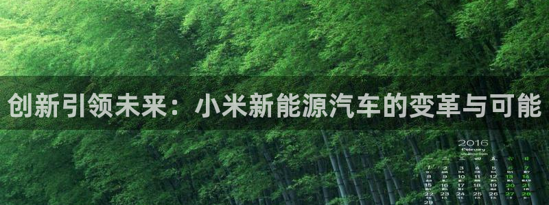 新宝gg怎么做代理：创新引领未来：小米新