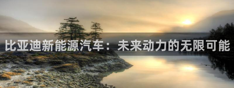 新宝gg娱乐平台：比亚迪新能源汽车：未来