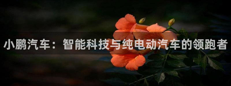 新宝GG速度：小鹏汽车：智能科技与纯电动