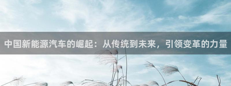 新宝GG反点：中国新能源汽车的崛起：从传