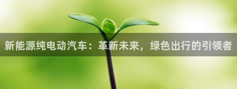 新宝gg首页平台：新能源纯电动汽车：革新